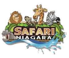 Safari Niagara