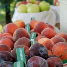 20 Valley Farmer's Market