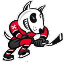 Niagara Ice Dogs