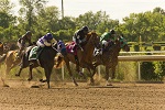 Fort Erie Racetrack