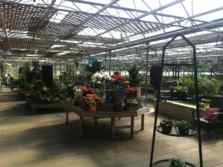 Rainbow 5 Girls & A Greenhouse