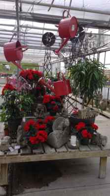 Rainbow 5 Girls & A Greenhouse